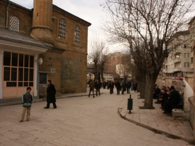 ulucamii