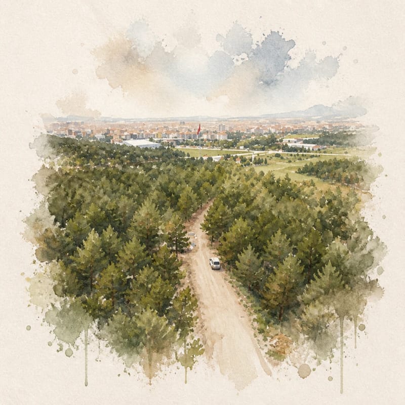 Central Çorum's Nature Breaks: Bahabey Grove, Sağmaca and Gölün Yazı